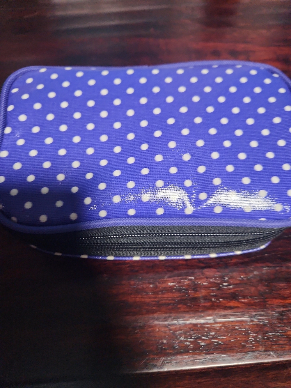 Polka Dot Purple Women's Cosmetic Pouch